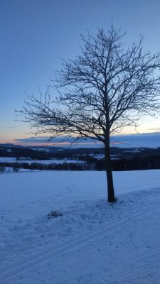 Häuschen in Dolenec - Zásada