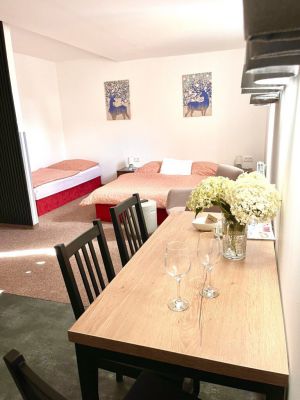 Familienappartements U Št'astných