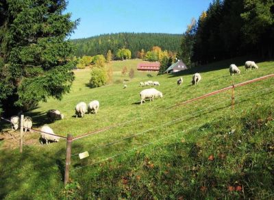 Pension U Wondráčků